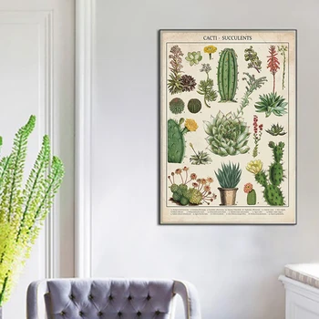 Kaktusai & Succulents Drobė, Tapyba, Modernus Sienos paveiksl Cuadros Plakatų ir grafikos, Tapybos, skirtą Kambarį Namuose Dekoras