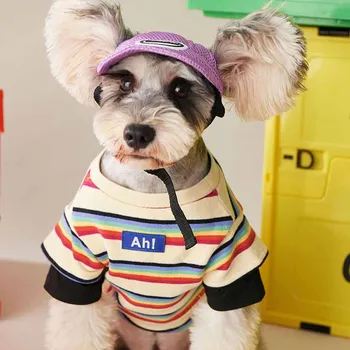 Šunų drabužius rudenį mažųjų ir vidutinių šunų dryžuotas megztinis Teddy veislės kalytę Pomeranijos Corgi katė plonas, pritaikytas drabužiai